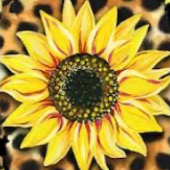 sunflowercheeta